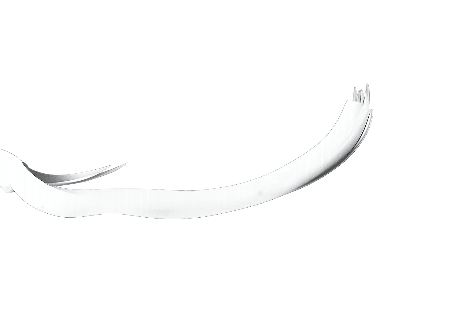Decorative separator